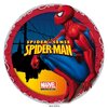 Valmis kakkukuva - Spiderman II