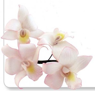 JEM singapore orkidea -koristelumuotit