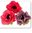 JEM vuokko koristelumuotit (anemone)