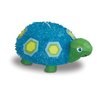 Pinjata -Sininen kilpikonna