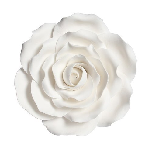 Kakunkoriste, valkoinen ruusu