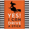 Yes! I can drive a stick pienet lautasliinat