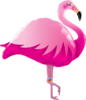 Muotofoliopallo, flamingo