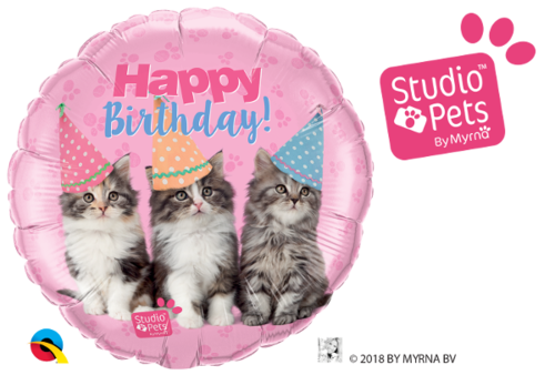 Foliopallo, bday kittens