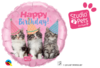 Foliopallo, bday kittens