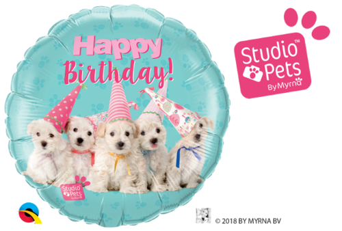 Foliopallo, bday puppies