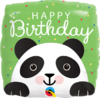 Foliopallo, Bday Panda