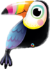Muotofoliopallo, Colorful Toucan