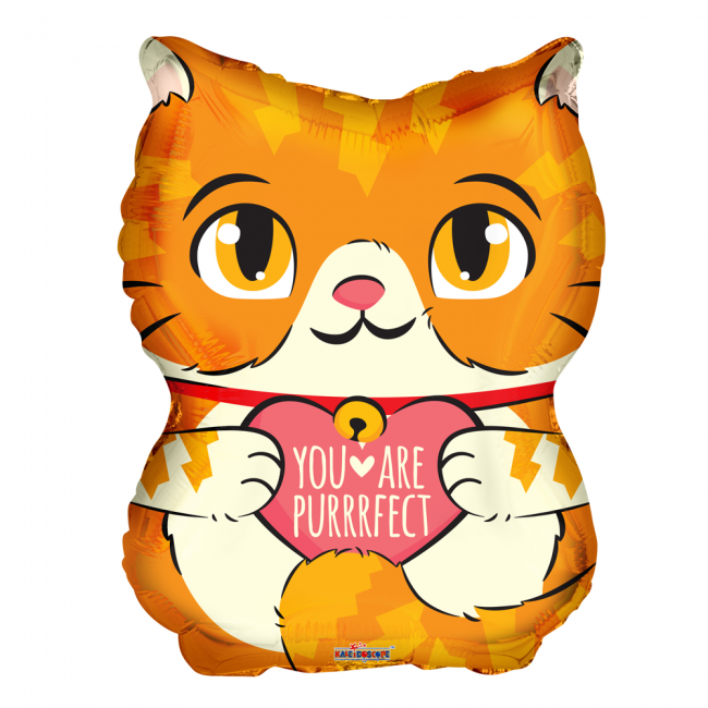 Muotofoliopallo, purrfect cat