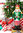 Foliopallo, Nutcracker