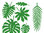 Koristeet, tropical leaves