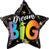 Foliopallo, Dream Big