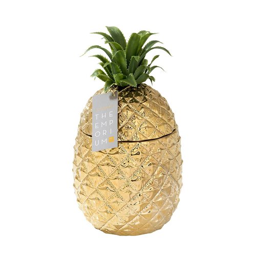 Pulloviilentäjä, kultainen ananas