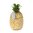 Pulloviilentäjä, kultainen ananas