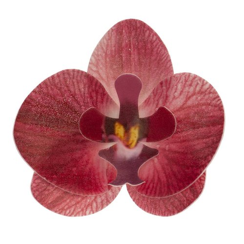 Syötävä koriste, viininpunainen orkidea 10kpl
