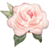 Muotofoliopallo, Watercolour Rose