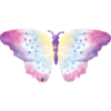 Muotofoliopallo, Watercolour Butterfly