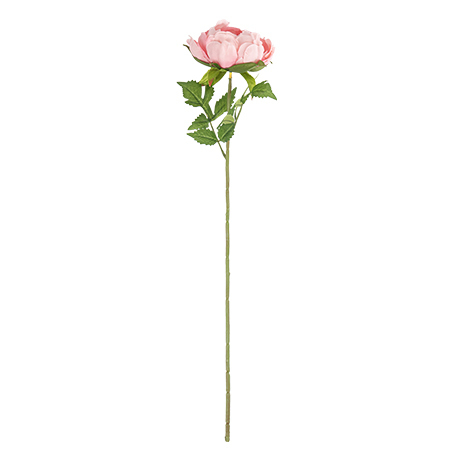 Somiste, roosa pioni oksa 56x10cm