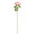 Somiste, roosa pioni oksa 56x10cm