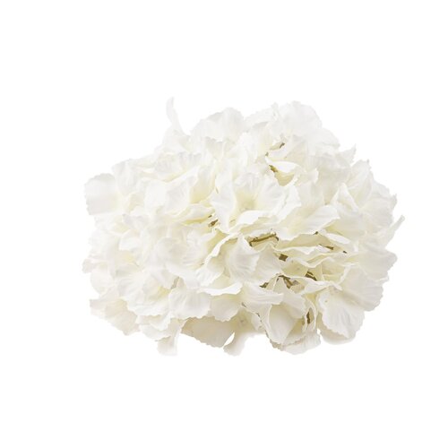 Somiste, valkoinen hortensia 19cm