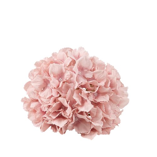 Somiste, vaaleanpunainen hortensia 19cm