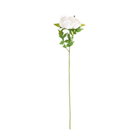 Somiste, valkoinen pioni oksa 56x10cm