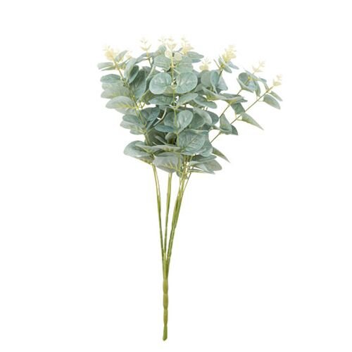 Somiste, eucalyptus kimppu