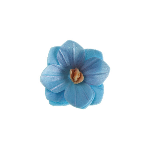 Syötävä vohvelikoriste, Hortensia sininen 5kpl