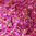 PME syötävä glitter, Party Popper mix