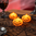 Halloween kurpitsa LED valokoriste